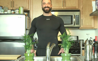Anthony DiClementi: Exploring the Science of Resilience and Recovery - Pulsetto