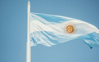 Best Vagus Nerve Stimulation Devices in Argentina - pulsetto