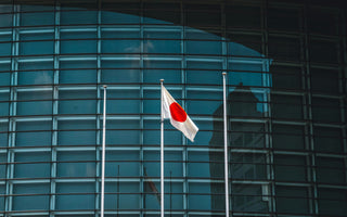 Best Vagus Nerve Stimulation Devices in Japan - Pulsetto