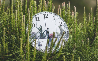How Long Does It Take to Build Stress Resilience? A Research-Backed Timeline