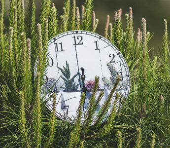 How Long Does It Take to Build Stress Resilience? A Research-Backed Timeline
