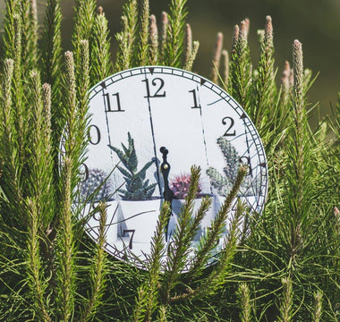 How Long Does It Take to Build Stress Resilience? A Research-Backed Timeline