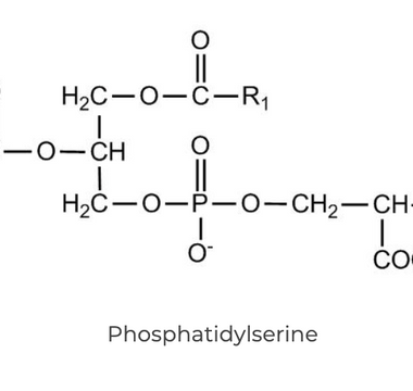 Best Phosphatidylserine Alternatives for Sleeping - Pulsetto