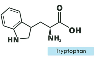 Best Tryptophan Alternatives for Sleeping - Pulsetto