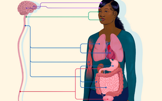 Best Ways to Reduce Anxiety with Parasympathetic Boost