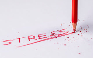 Vagus Nerve Stimulation for Stress: Exercises, HRV, and What the Science Says