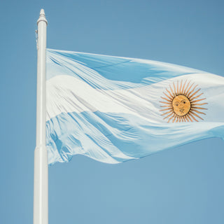 Best Vagus Nerve Stimulation Devices in Argentina - pulsetto