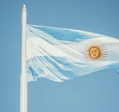 Best Vagus Nerve Stimulation Devices in Argentina - pulsetto