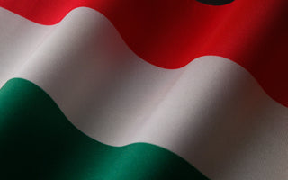 Best Vagus Nerve Stimulation Devices in Hungary - Pulsetto