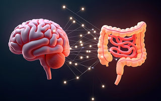 Best Foods for Vagus Nerve Health