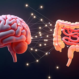 Best Foods for Vagus Nerve Health