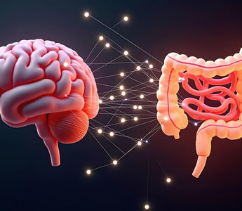 Best Foods for Vagus Nerve Health