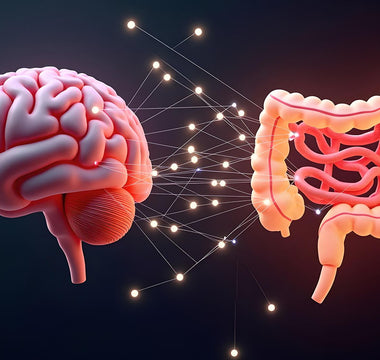 Best Foods for Vagus Nerve Health