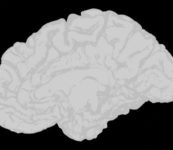 How Nerve Stimulation Therapy Retrains Your Nervous System