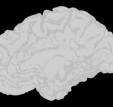 How Nerve Stimulation Therapy Retrains Your Nervous System