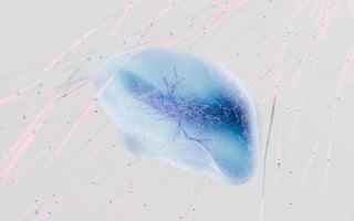 Best Biohacking Products in 2025 - Pulsetto