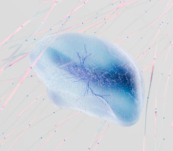 Best Biohacking Products in 2025 - Pulsetto