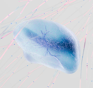 Best Biohacking Products in 2025 - Pulsetto