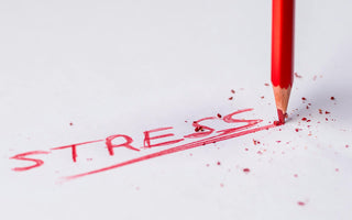 Best Stress Relief Products in 2025 - Pulsetto