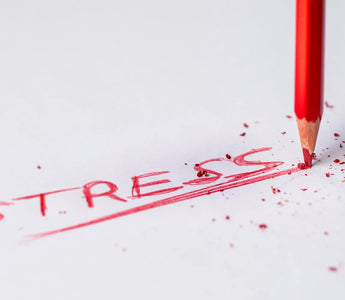Best Stress Relief Products in 2025 - Pulsetto