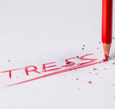 Best Stress Relief Products in 2025 - Pulsetto