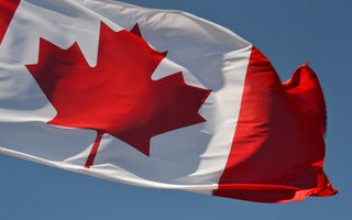 Best Vagus Nerve Stimulation Devices in Canada - Pulsetto