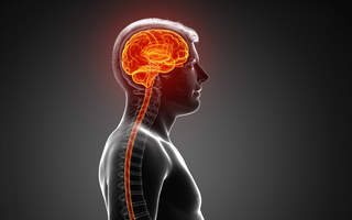How to Build Stress Fitness: Step-by-Step Training Plan