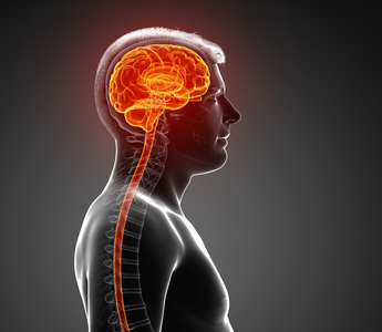 How to Build Stress Fitness: Step-by-Step Training Plan