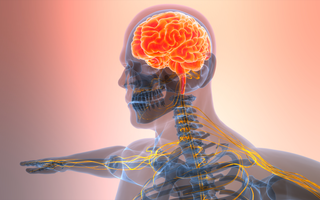 How to Increase Theta Brain Waves