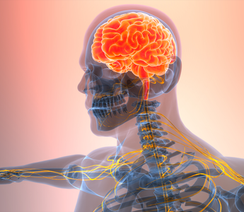 How to Increase Theta Brain Waves