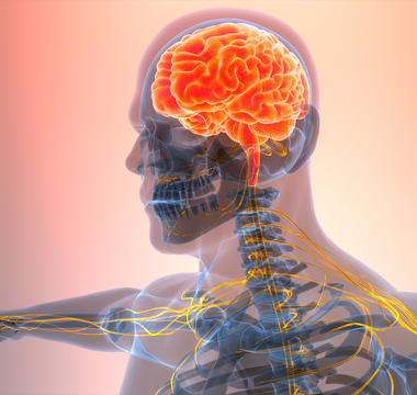 How to Increase Theta Brain Waves
