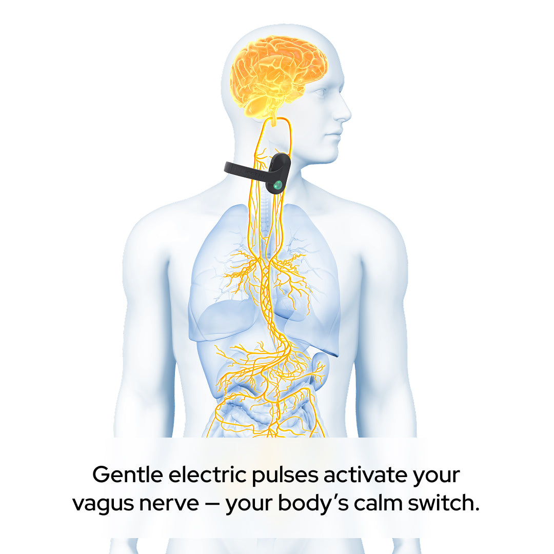 Pulsetto manufacturer illustration of cervical vagus nerve stimulation