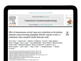 <p>VNS and Stress</p>