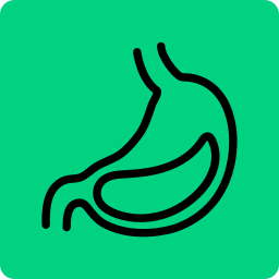Pulsetto stomach icon