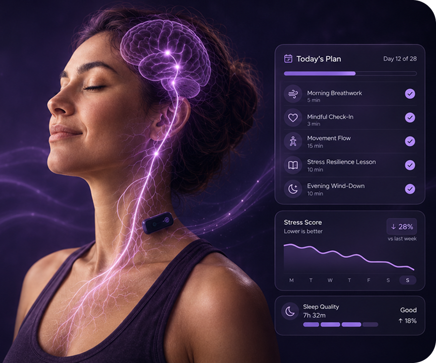 Find Out If Vagus Nerve Stimulation Would Fix Your Stress And Sleep