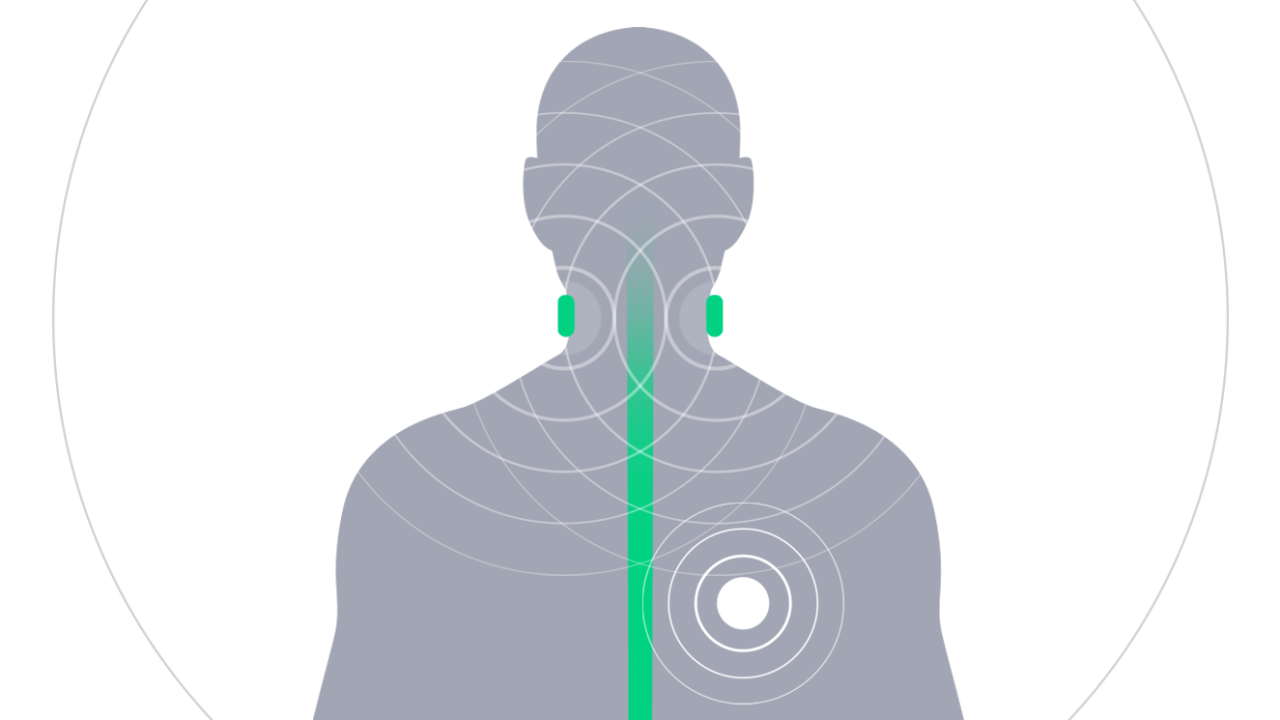 pulsetto vagus nerve illustration